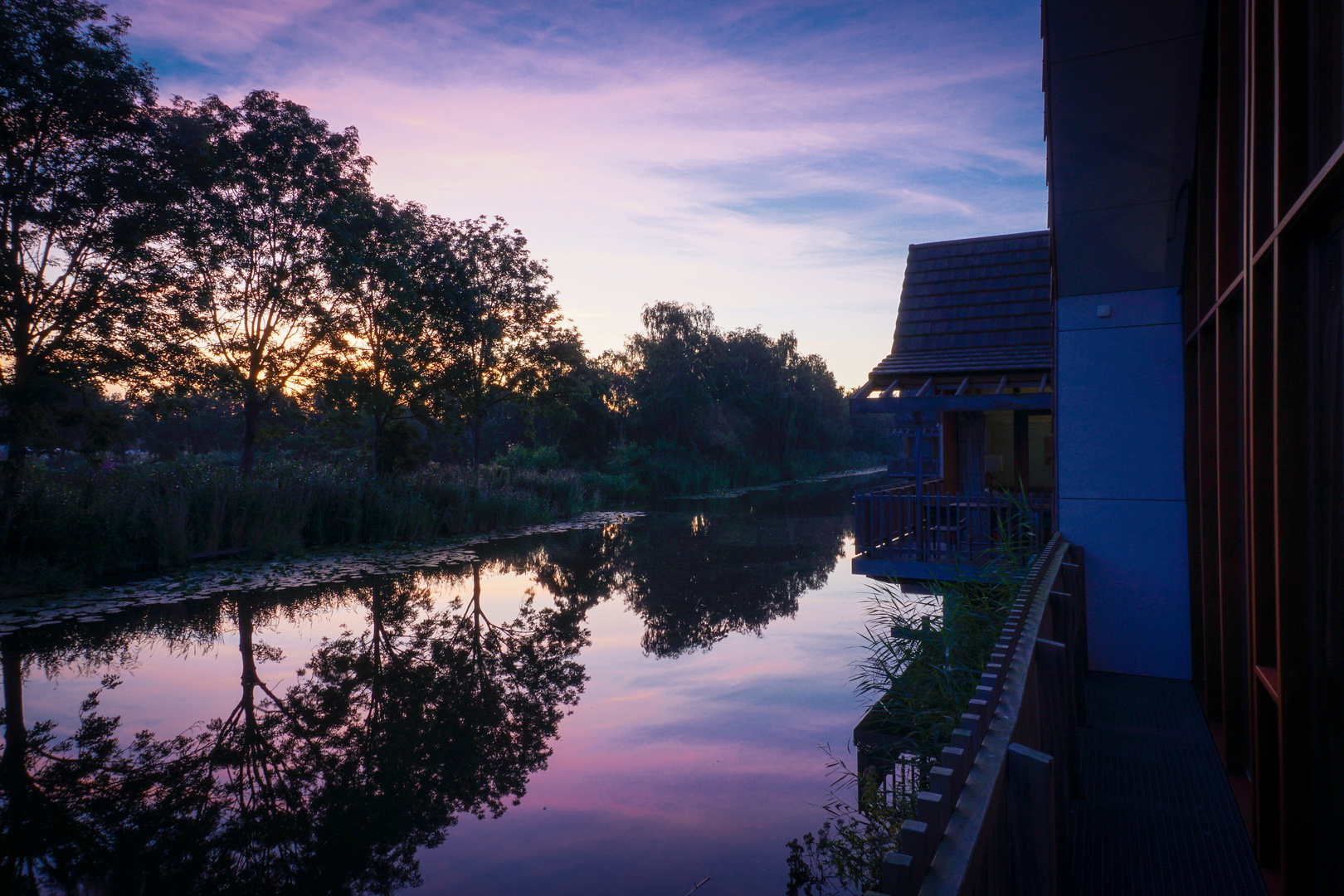 Reeuwijkse Plassen Sunrise