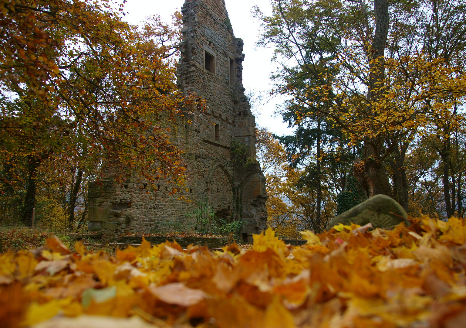 Refektorium auf dem Disibodenberg