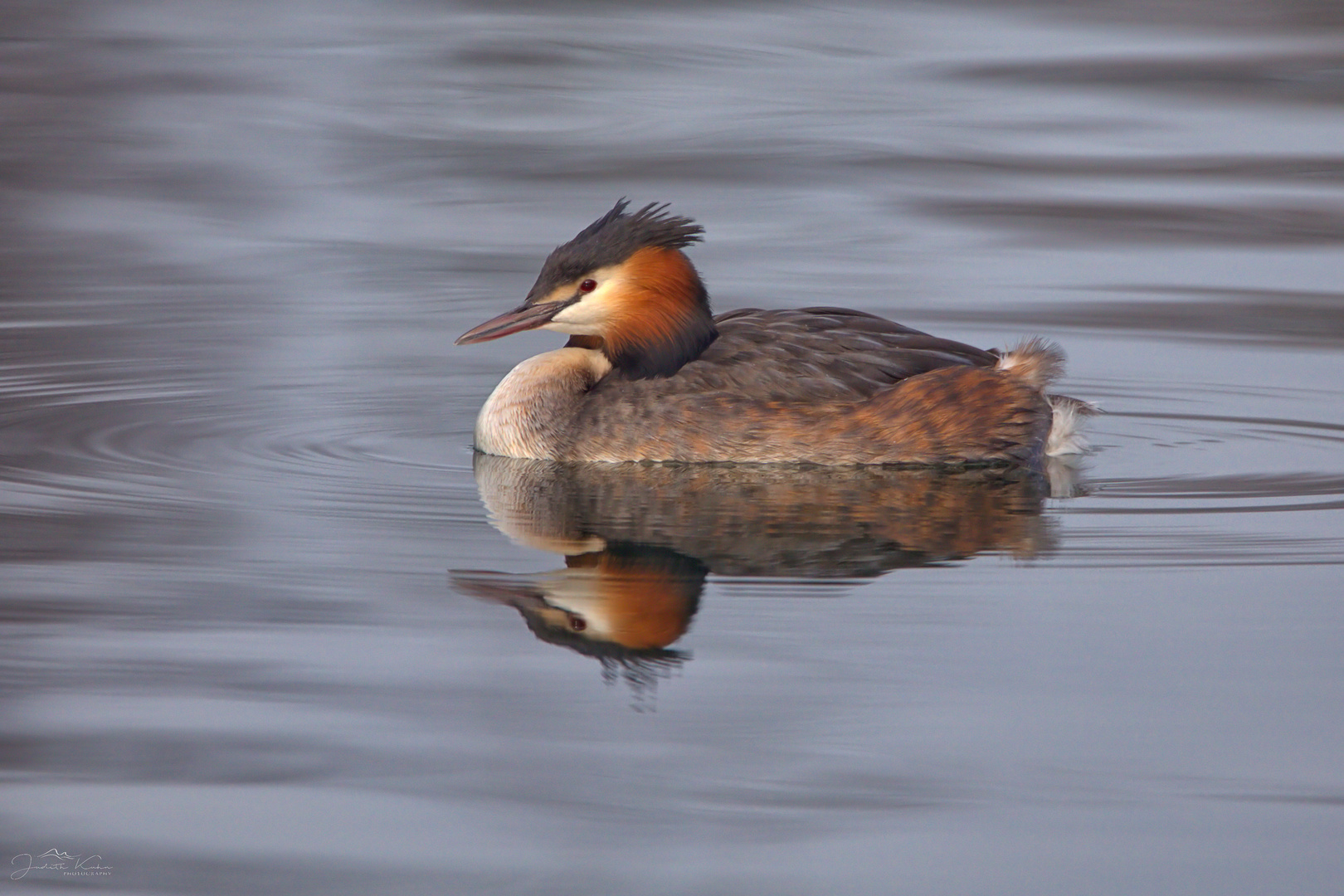 reflected