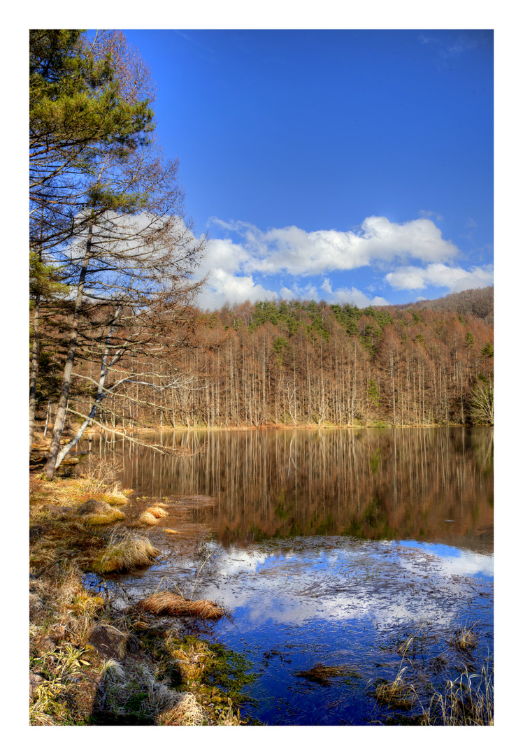 Reflected in the water-2