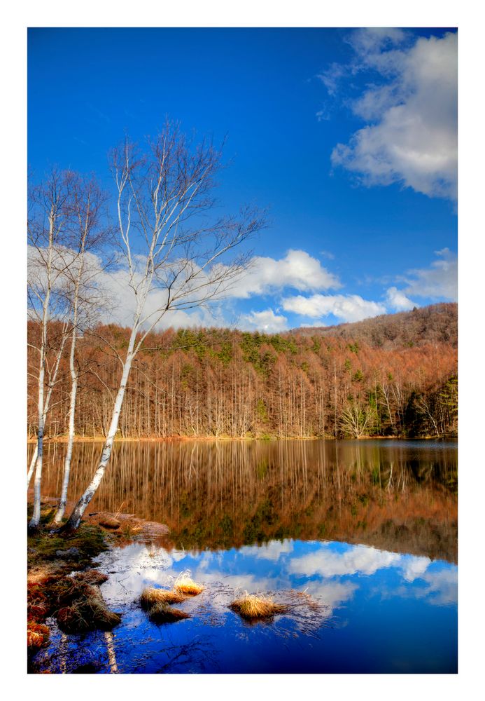 Reflected in the water-3