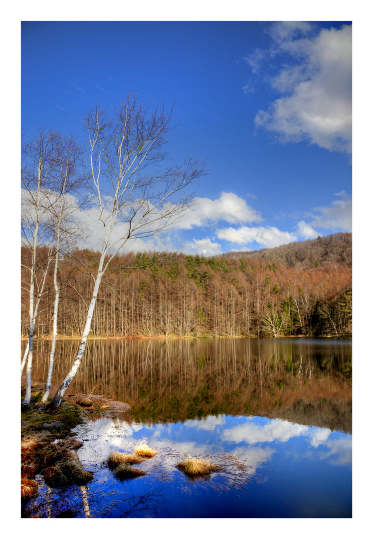 Reflected in the water-3