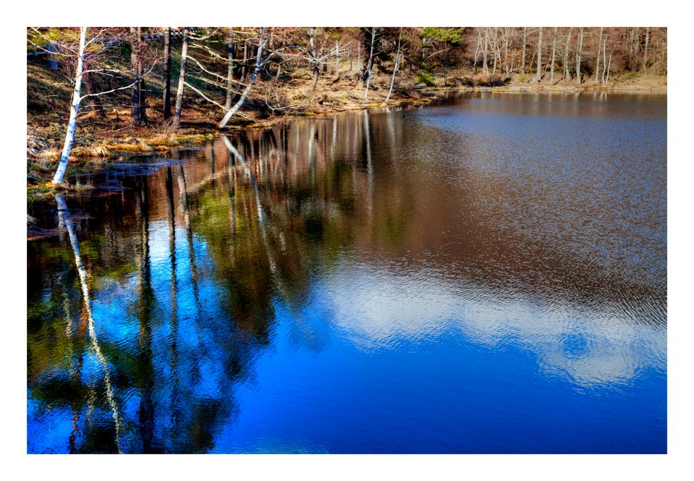 Reflected in the water-5