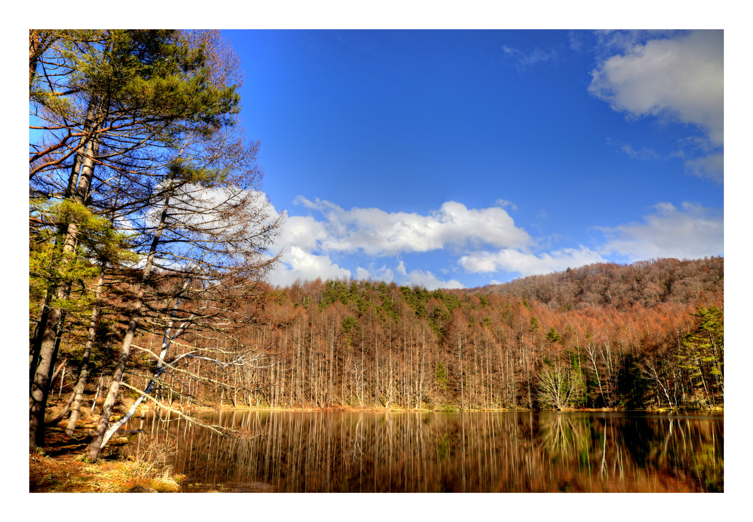 Reflected in the water