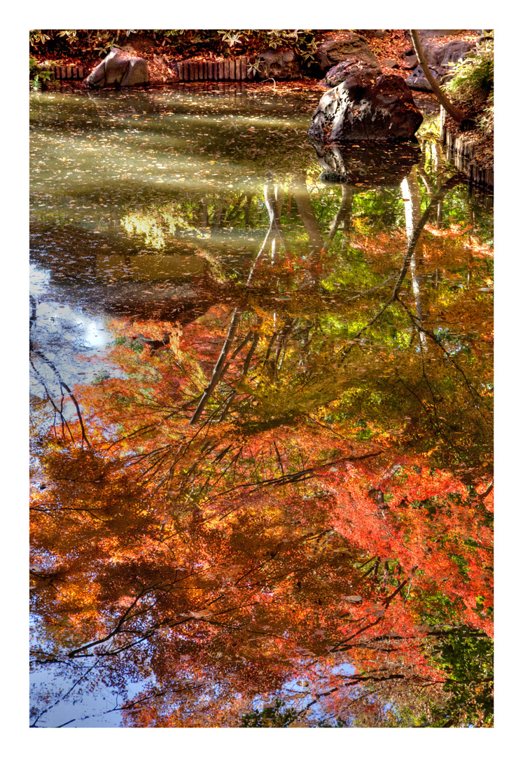 Reflected on the water-4