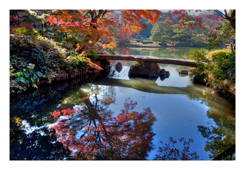 Reflected on the water