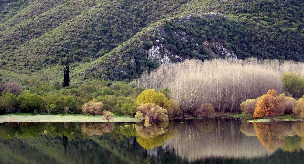 Reflecting Autumn