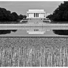 Reflecting Pool