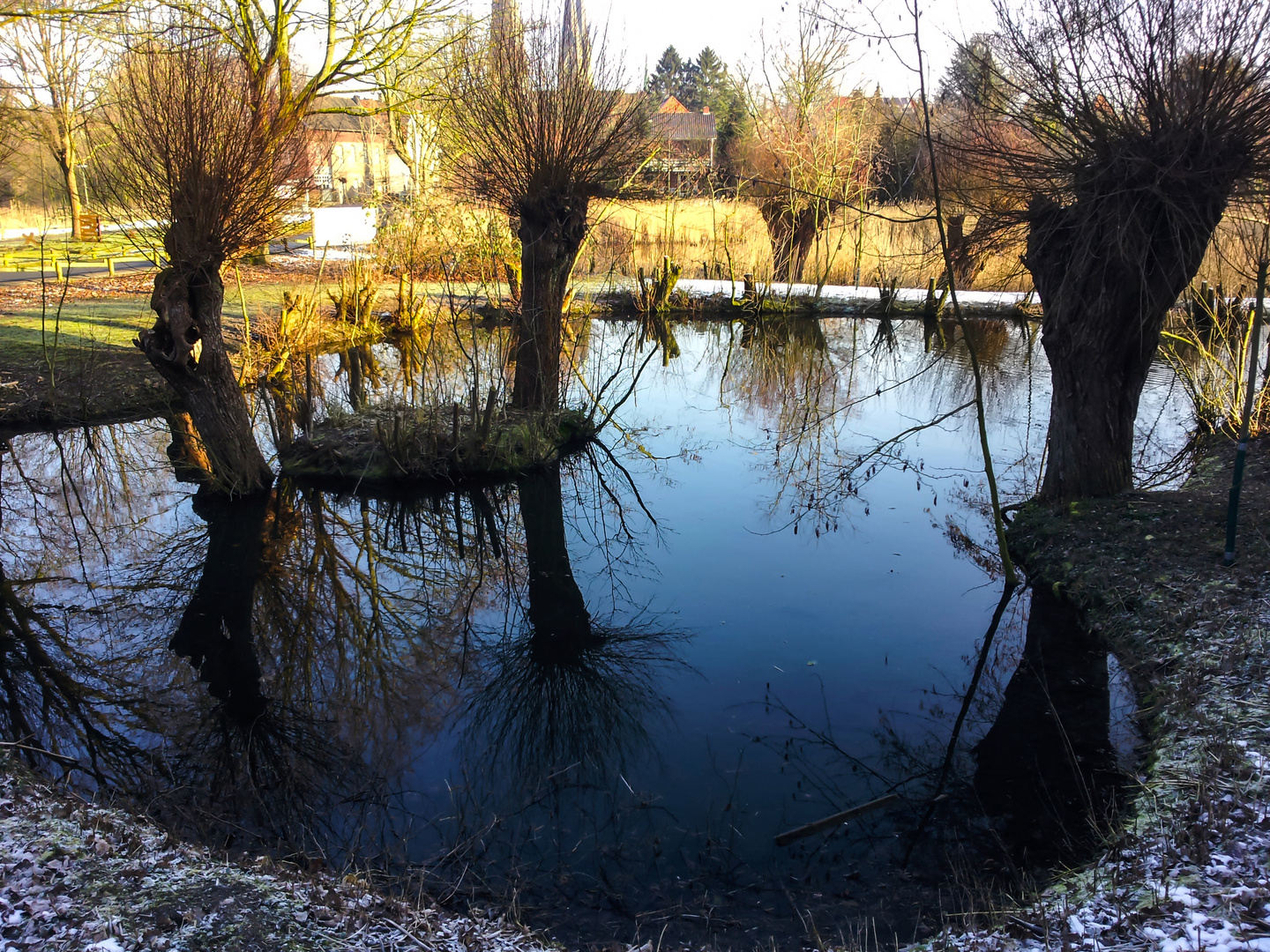 Reflecting Water