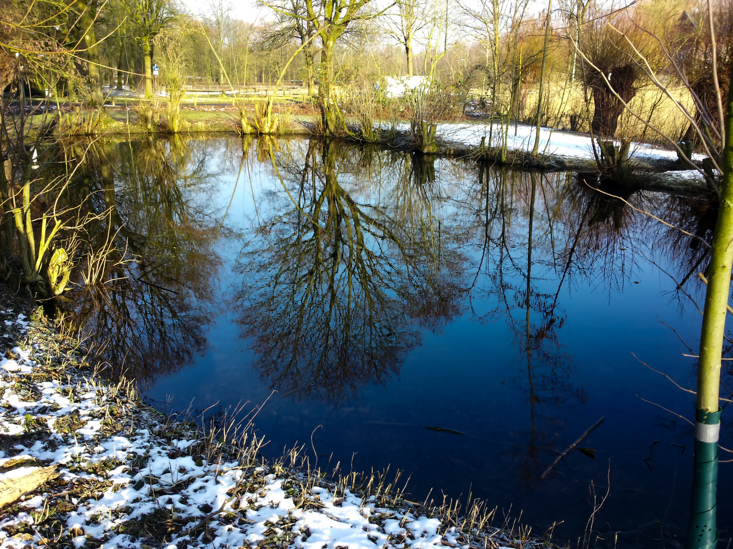 Reflecting Water II