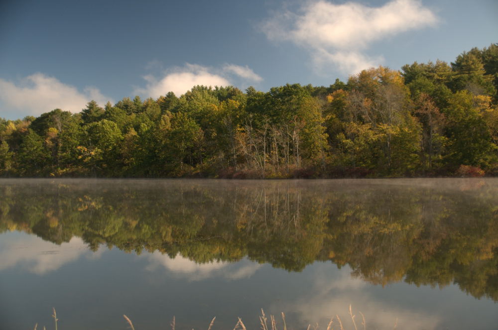 Reflection