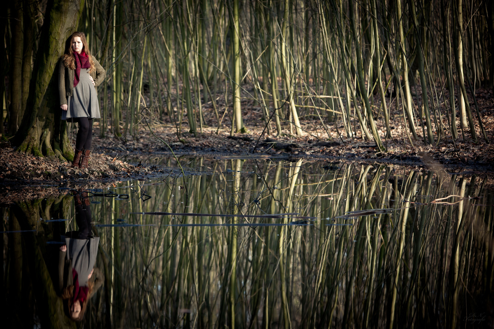 reflection