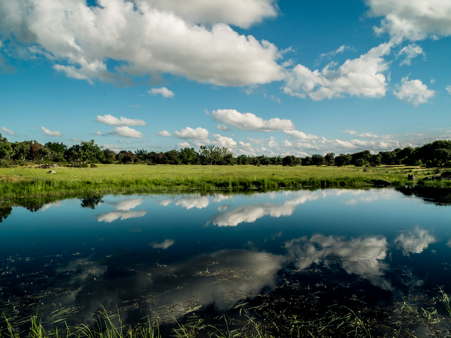 reflection