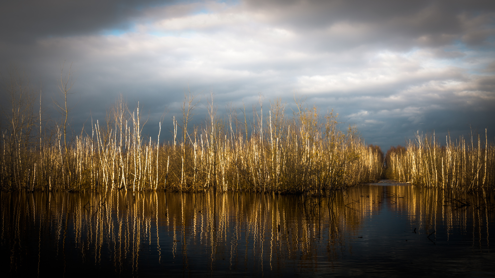 reflection