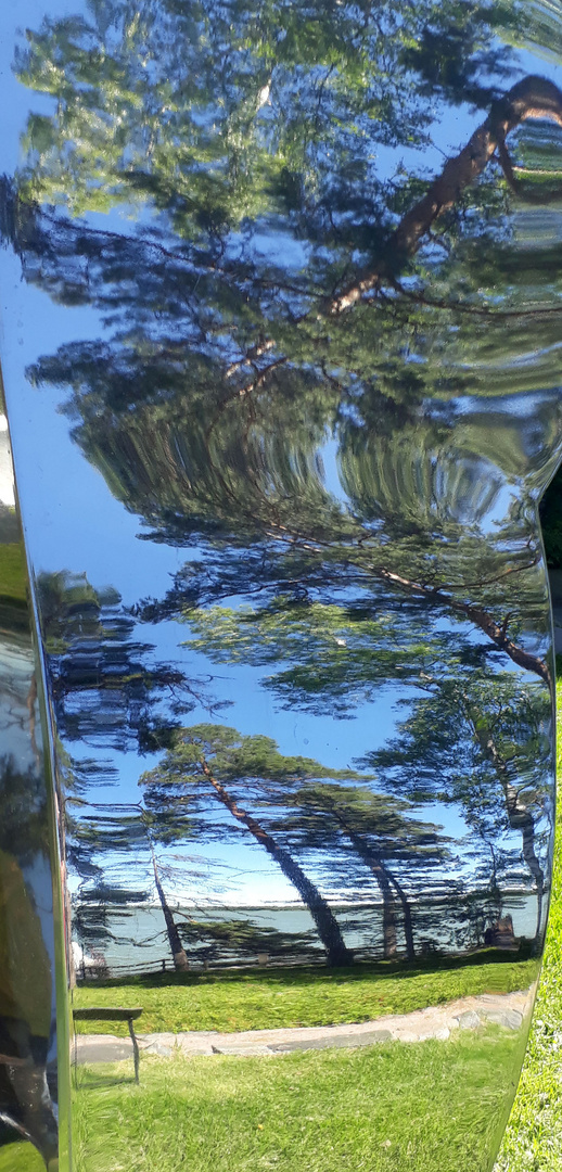 Reflection 2