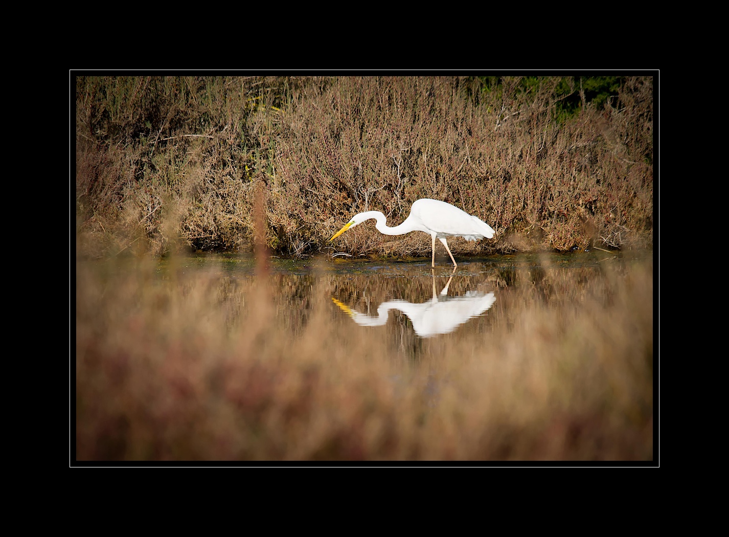 Reflection