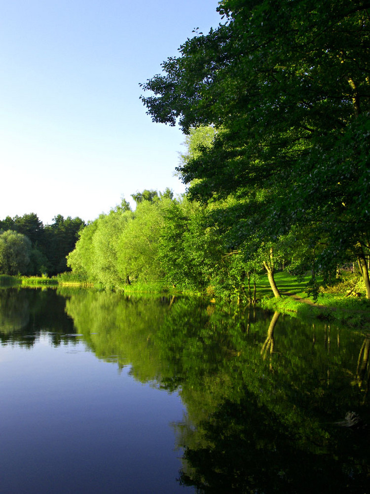 Reflection