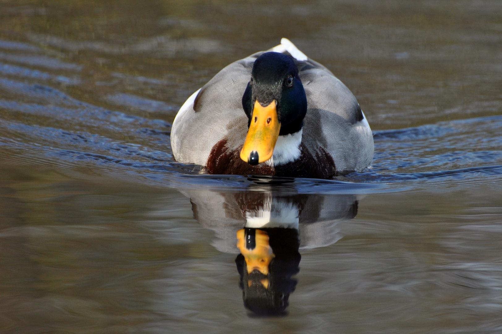 Reflection.