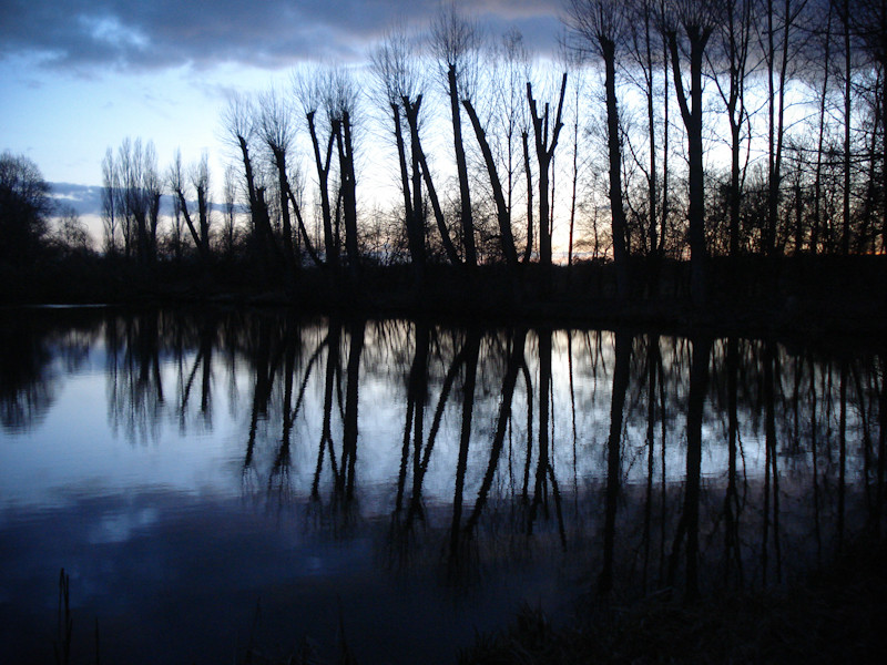 Reflection von Roman Kochkarev