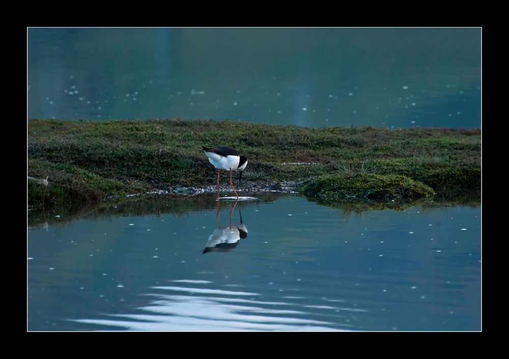 reflection