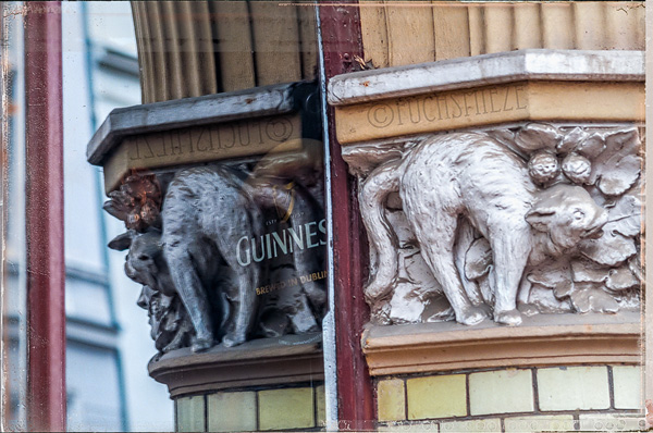 Reflection: Brewed in Dublin