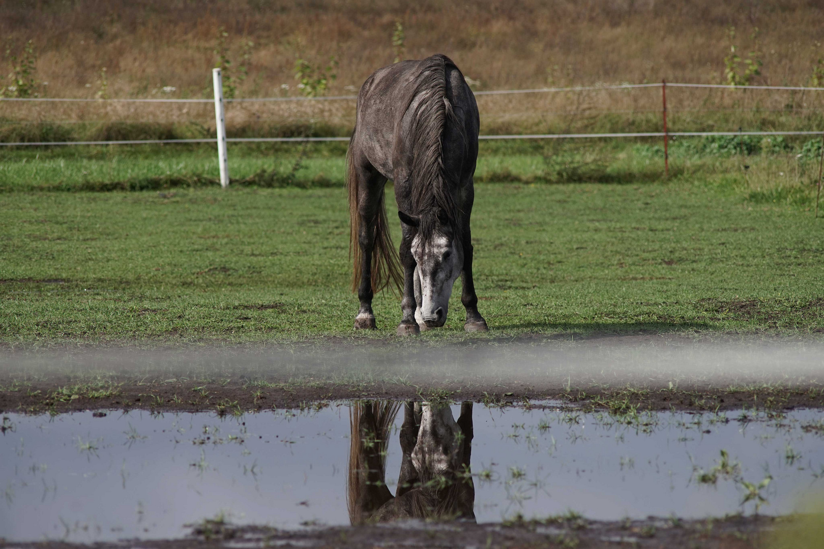 REFLECTION