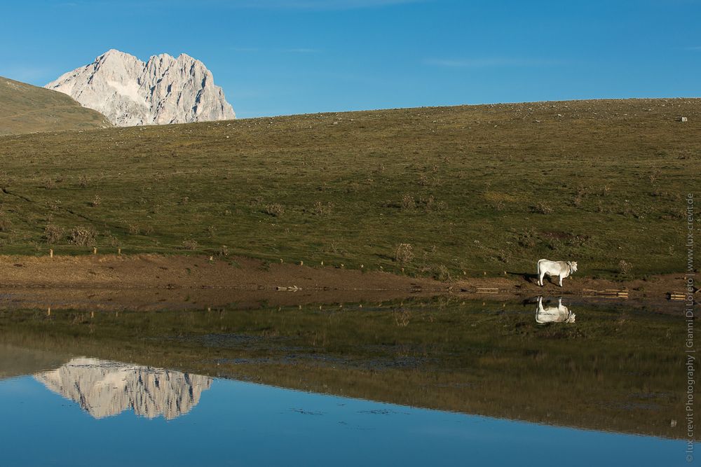 Reflection