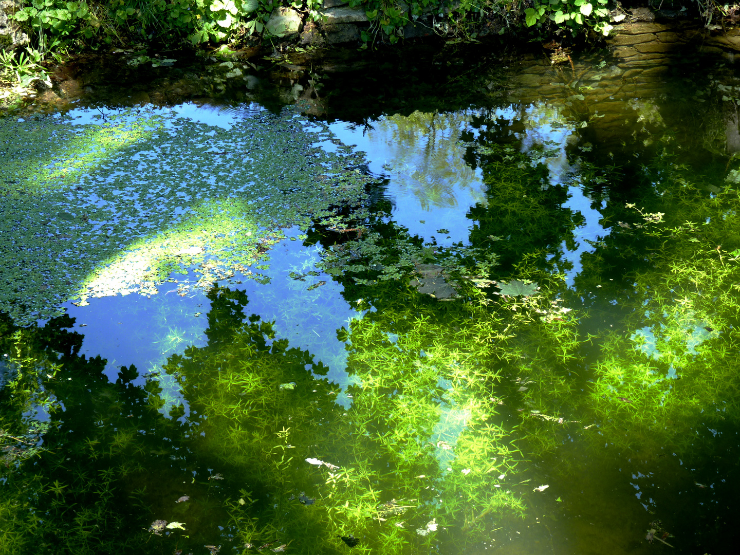 Réflection de la transparence