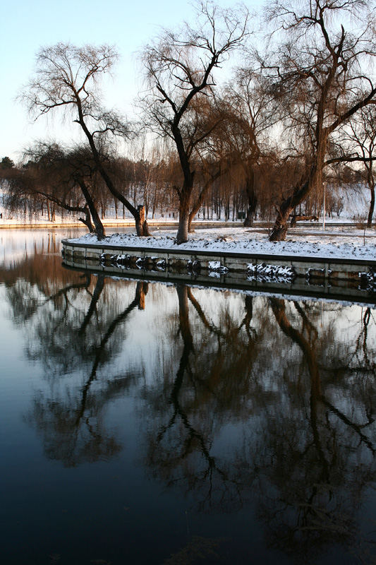 Reflection