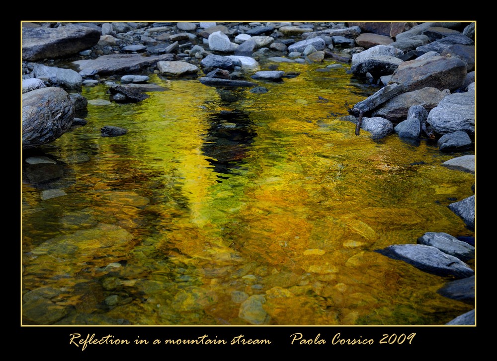 Reflection in a mountain stream