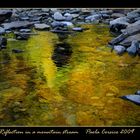 Reflection in a mountain stream