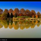 Reflection in Autumn