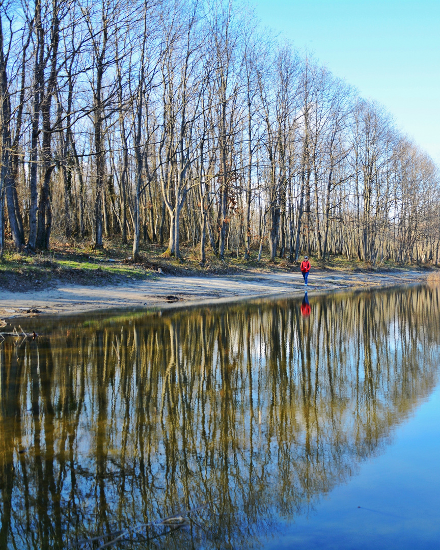 Reflection in calm water