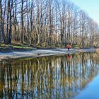 Reflection in calm water