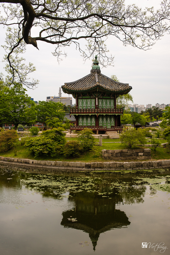 Reflection in Gyeongbok Palace