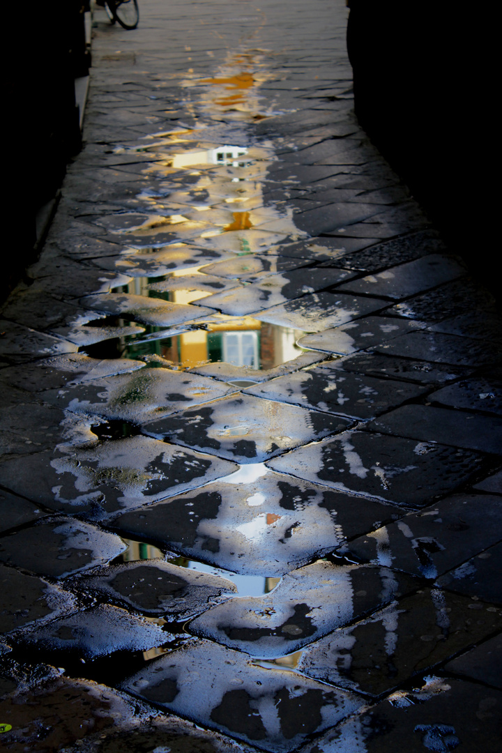 Reflection in some puddles