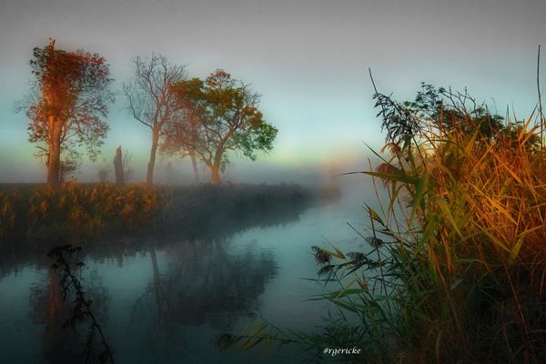 ... reflection in the fog