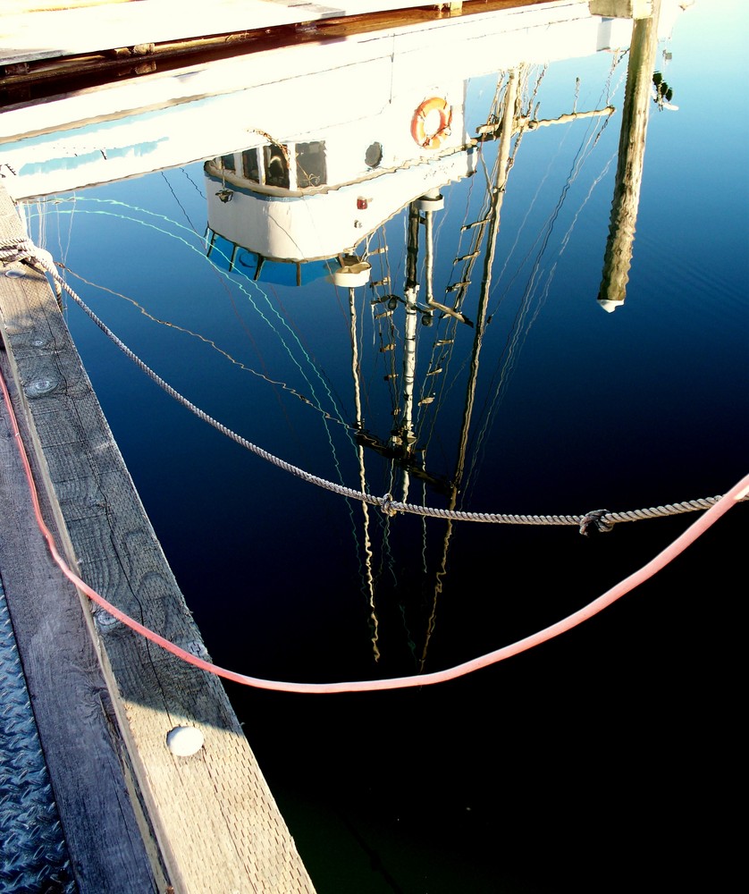 Reflection in the Harbor