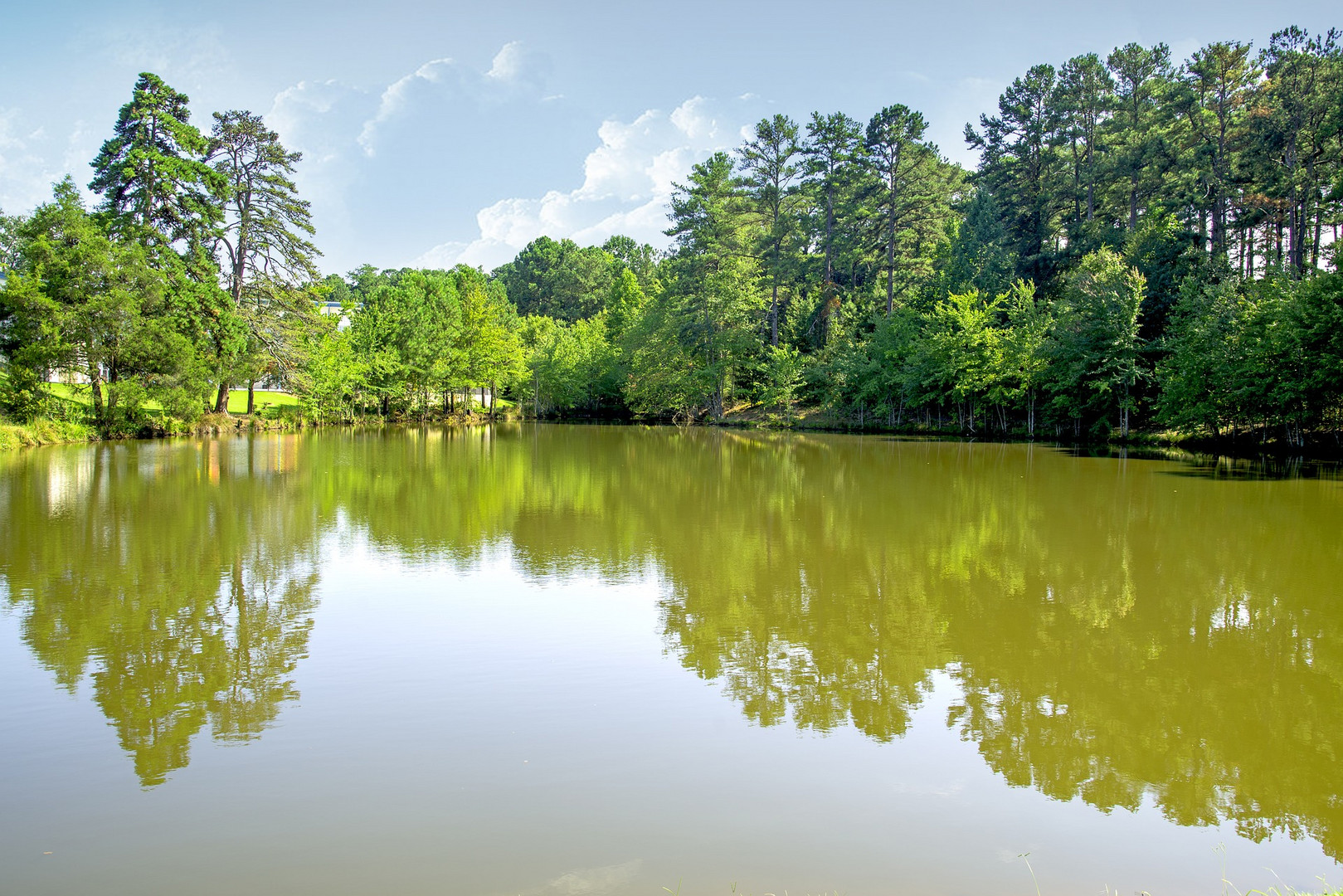 Reflection in the lake