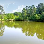 Reflection in the lake