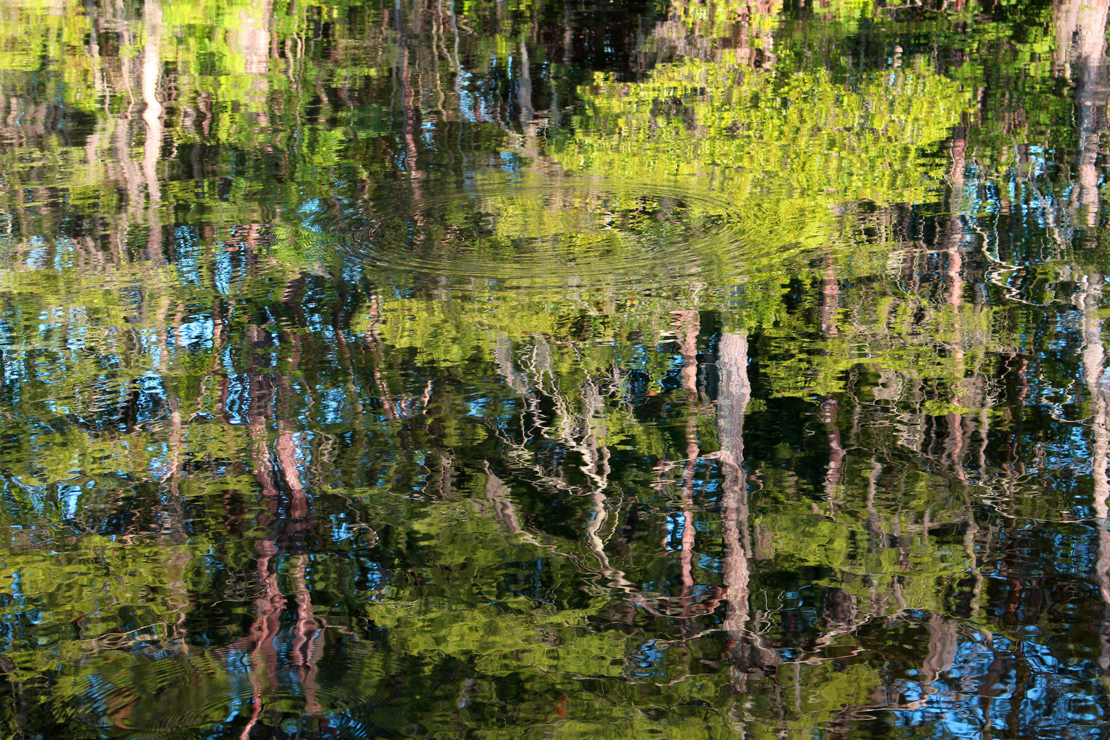 Reflection in the Millpond