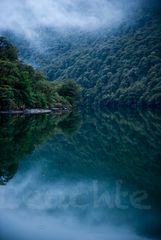 reflection in the sounds NZ