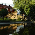 Reflection in the water