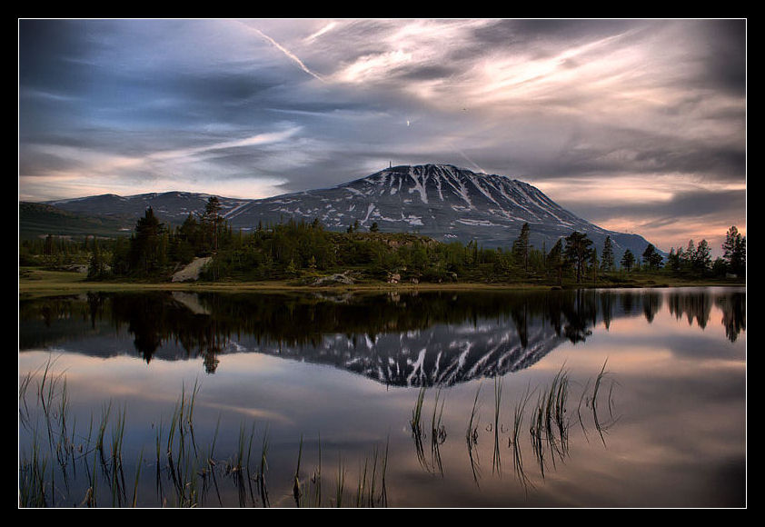 Reflection in the water