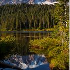 Reflection Lake