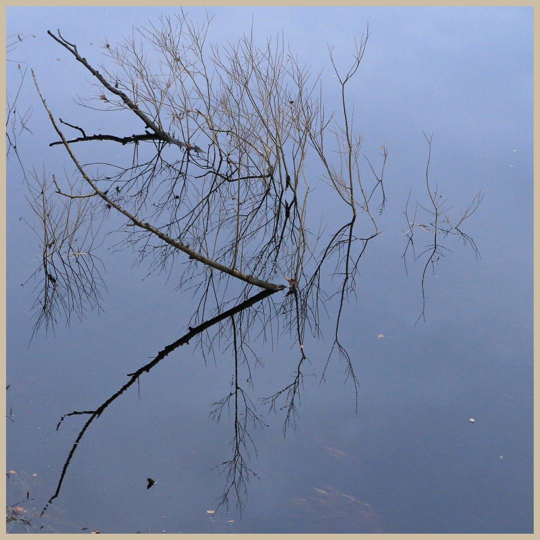 reflection near wylam