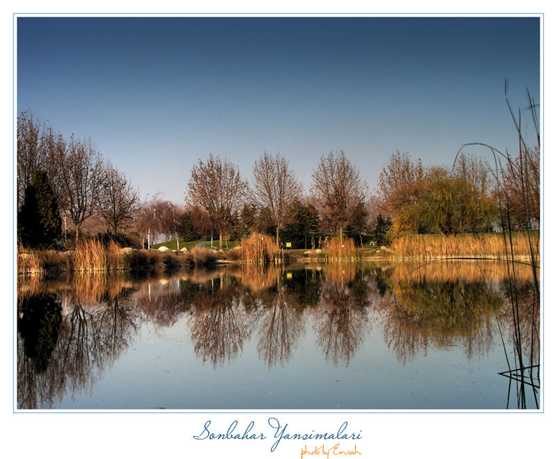 Reflection of Autumn