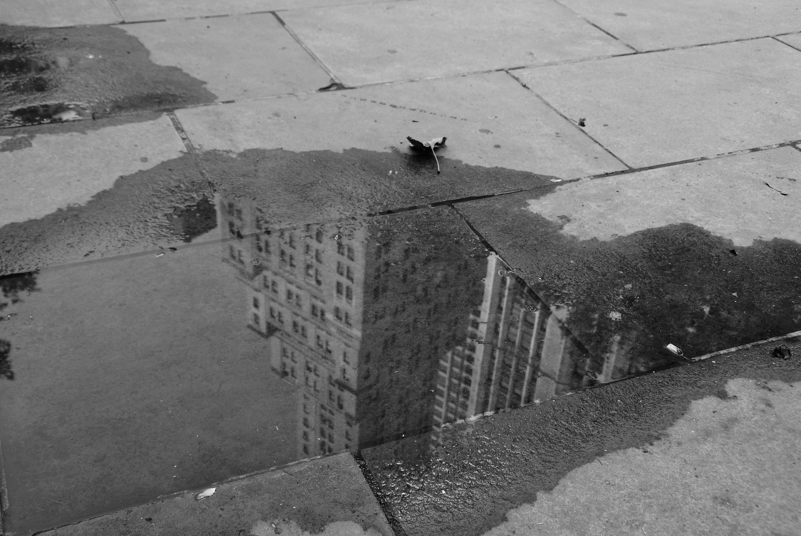 Reflection of New York City