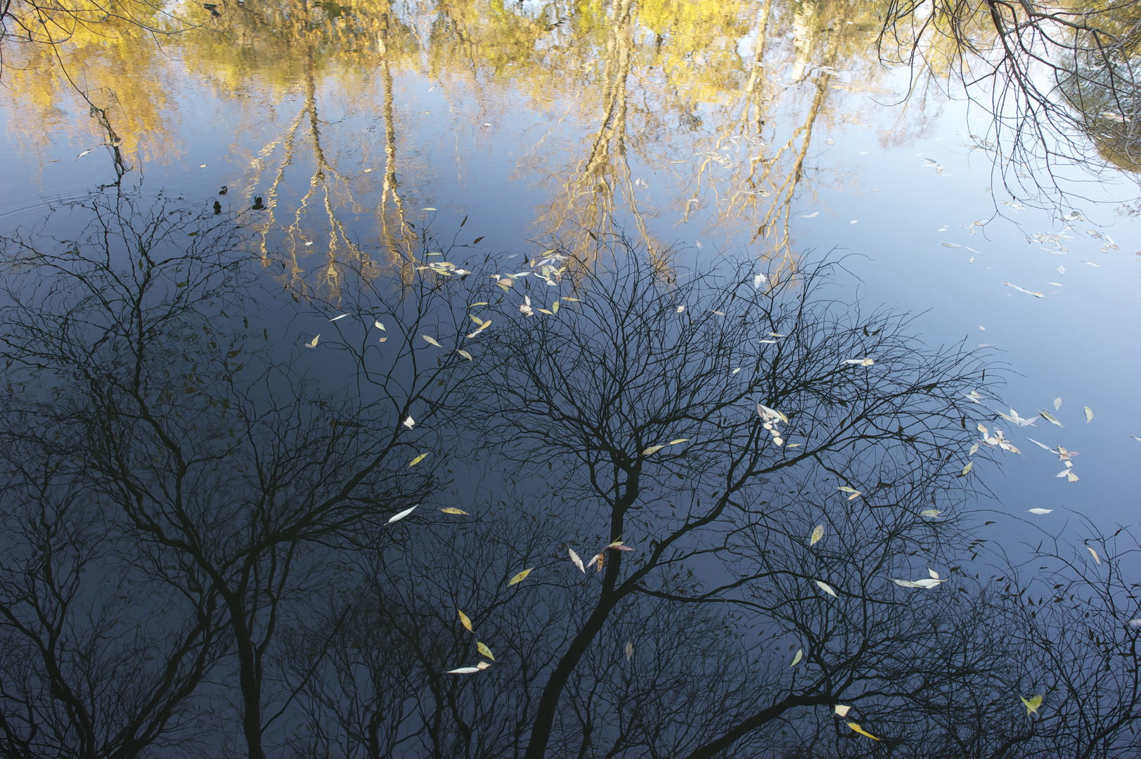 Reflection of the fall