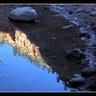 Reflection of Zion NP